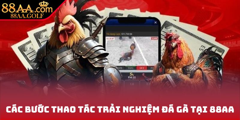 Các bước thao tác trải nghiệm đá gà tại 88AA