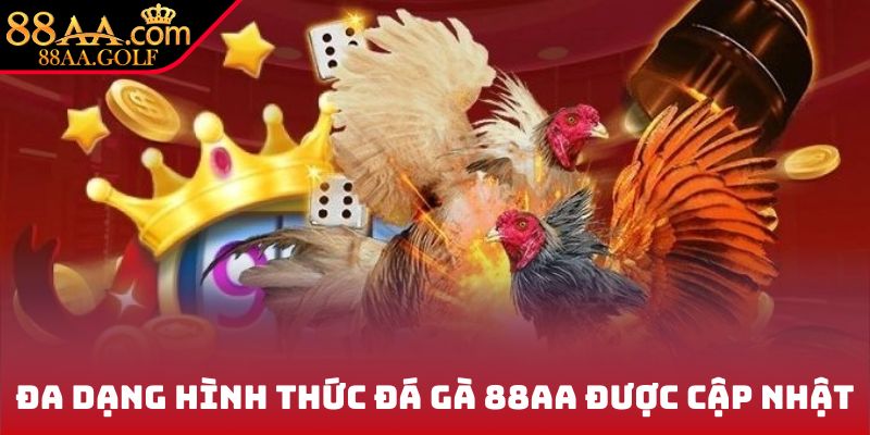 Đa dạng hình thức đá gà 88AA được cập nhật